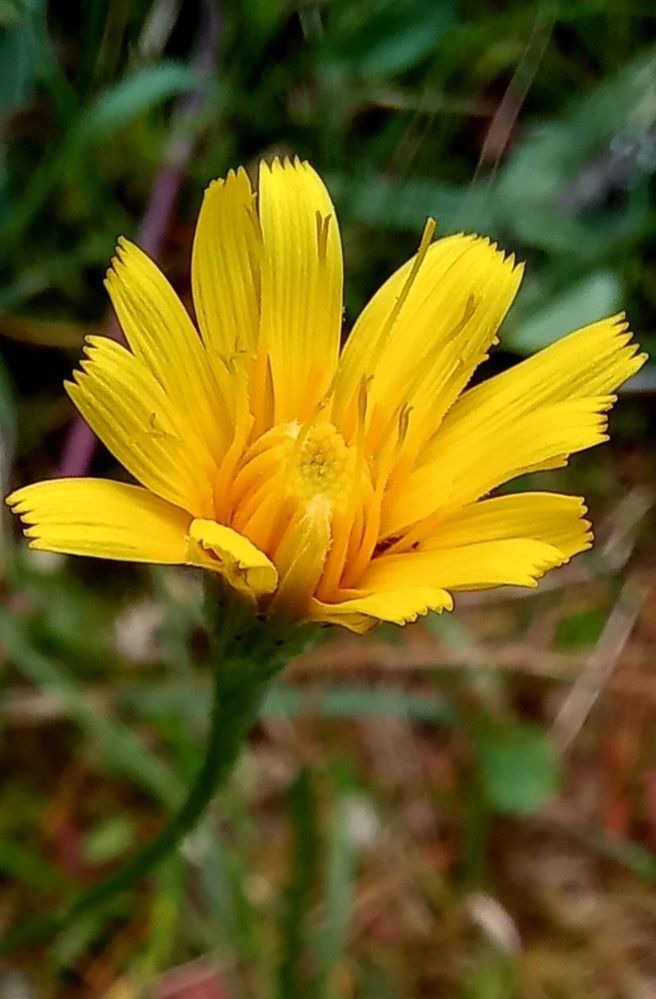 Photograph by Евгений Савулькин