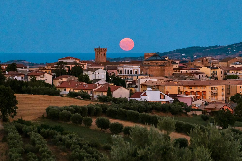 Фотография автора Jessica Azzaro