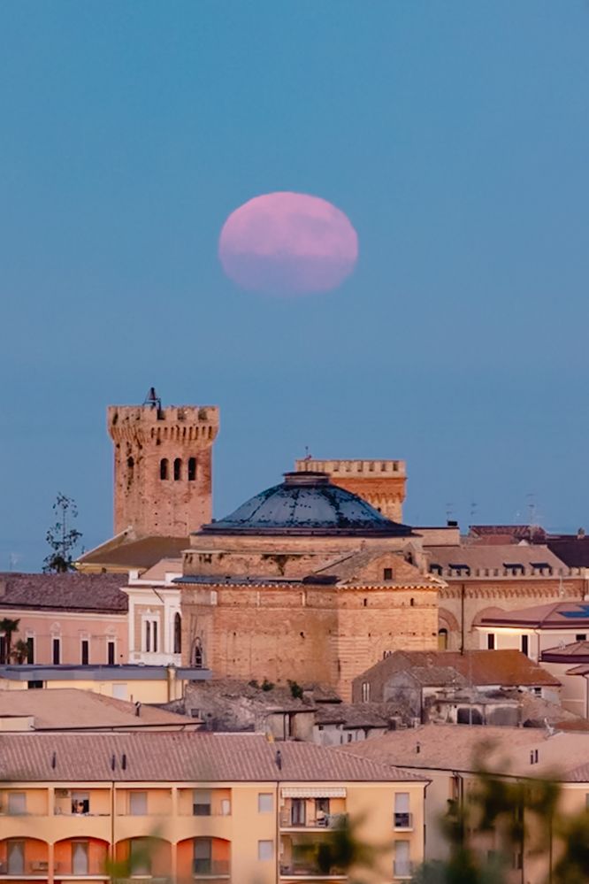 Фотография автора Jessica Azzaro