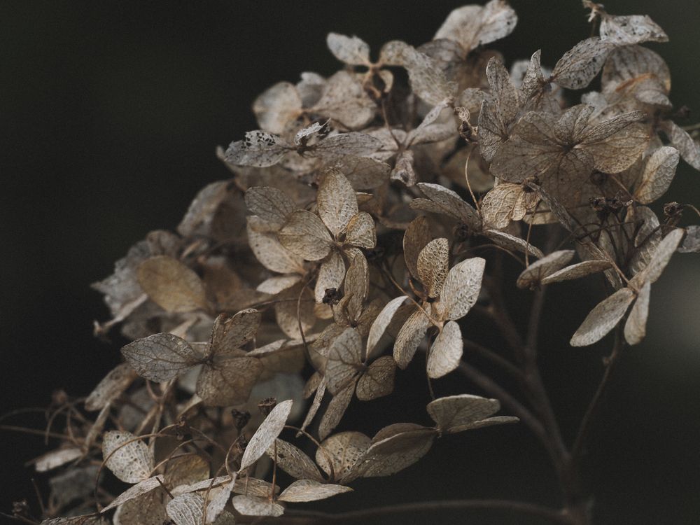 Photograph by Александра Шилова