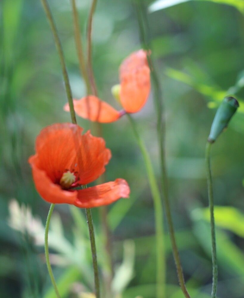 Photograph by Наталья Резванова