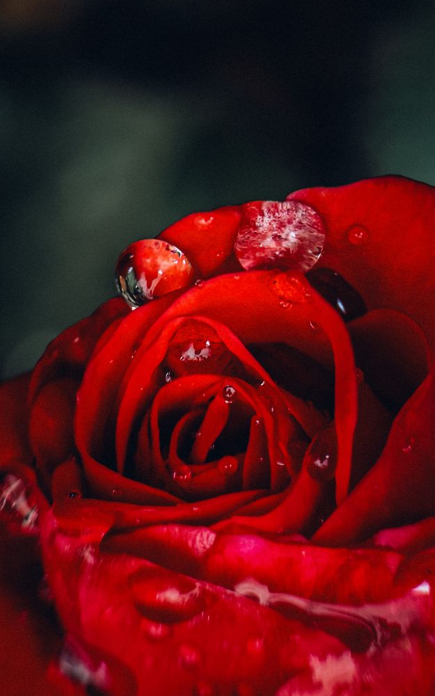 Photograph by Александра Шилова