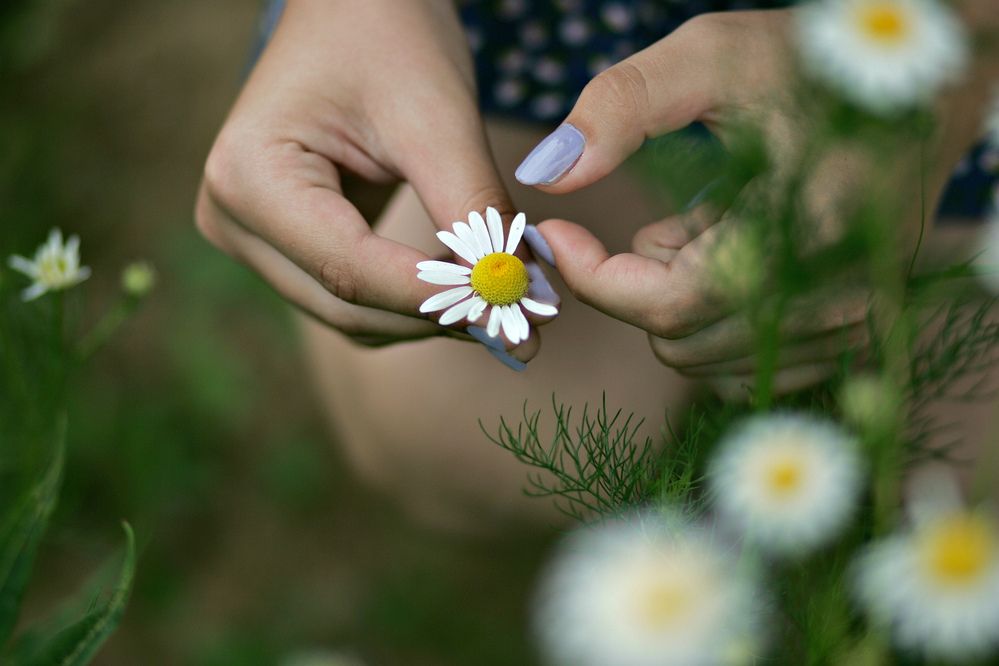 Photograph by Арина Прокшина