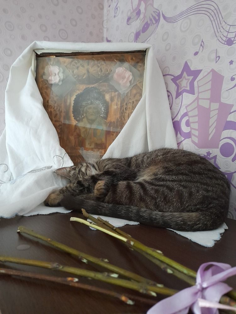 Photograph by Ирина Бельская