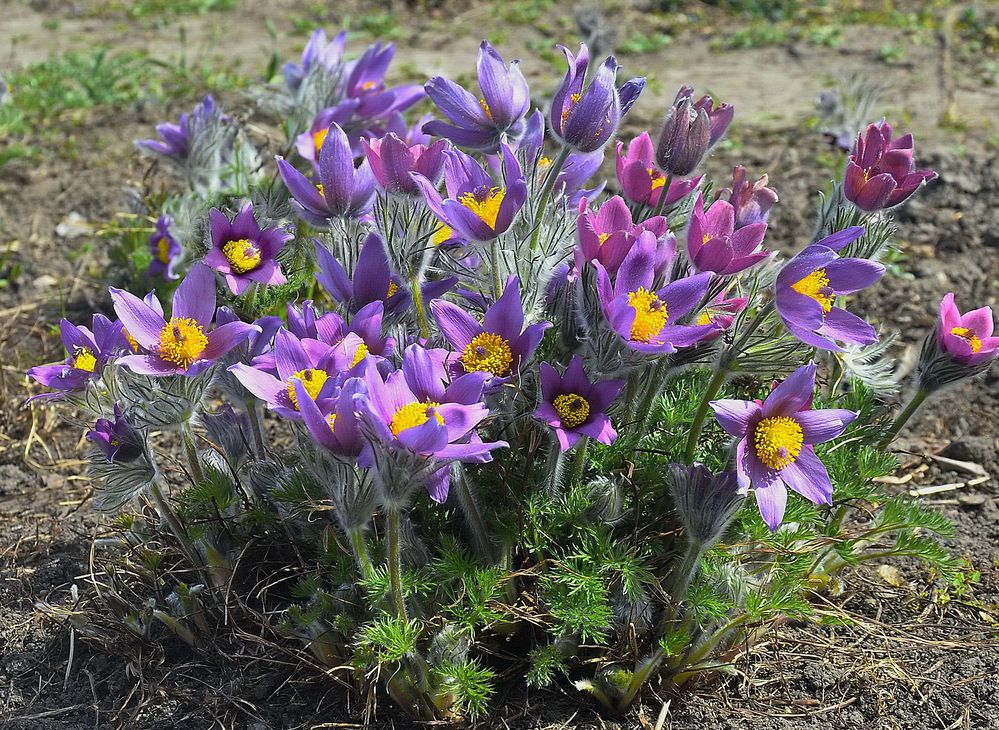 Фотография автора ВЛАДИМИР Тертышник