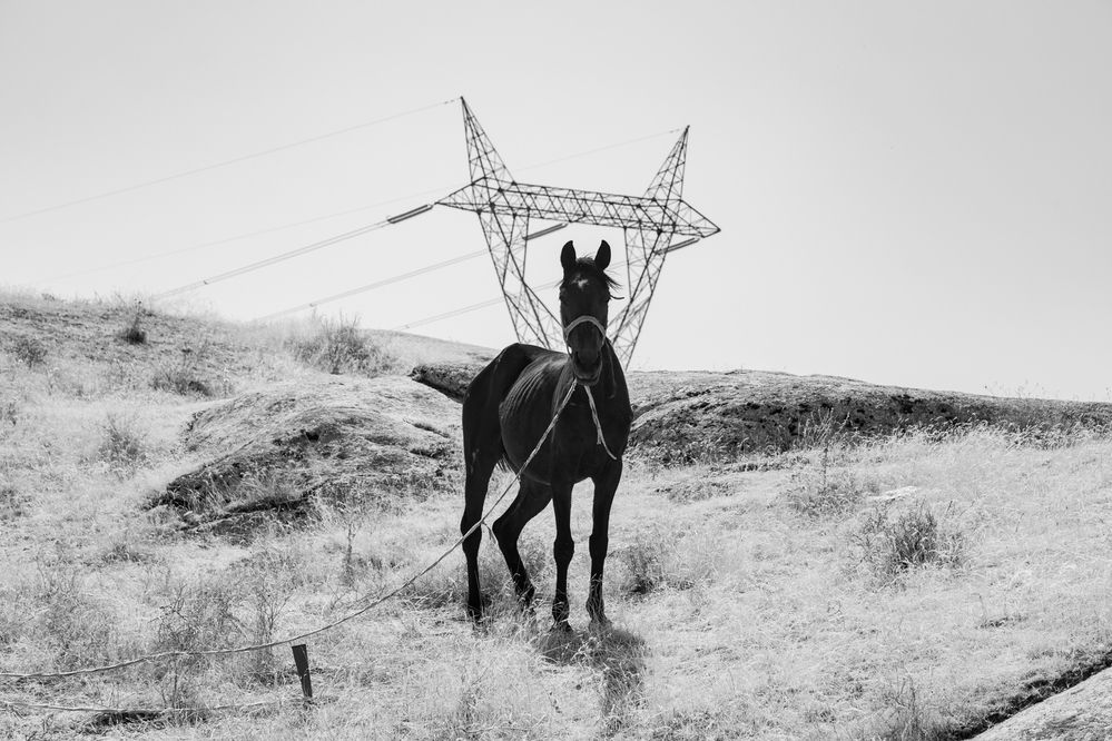 Photograph by seyed mostafa yousefi