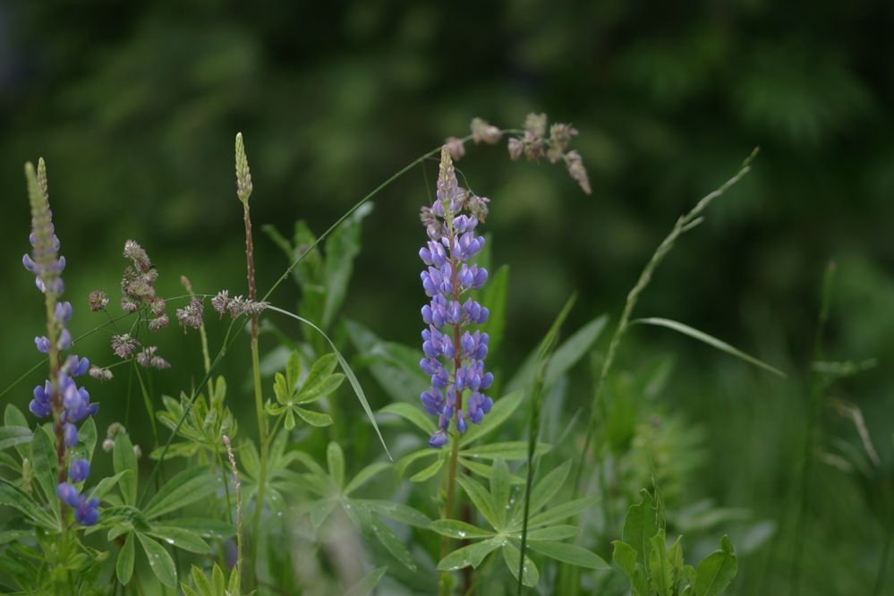 Photograph by Арина Прокшина