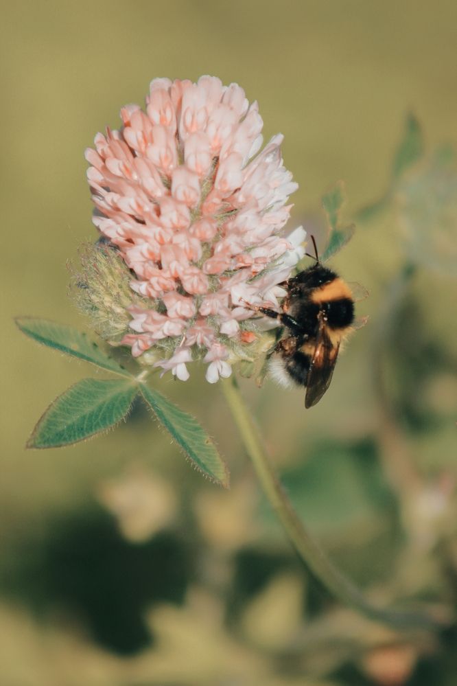 Photograph by Мархинина Лилия