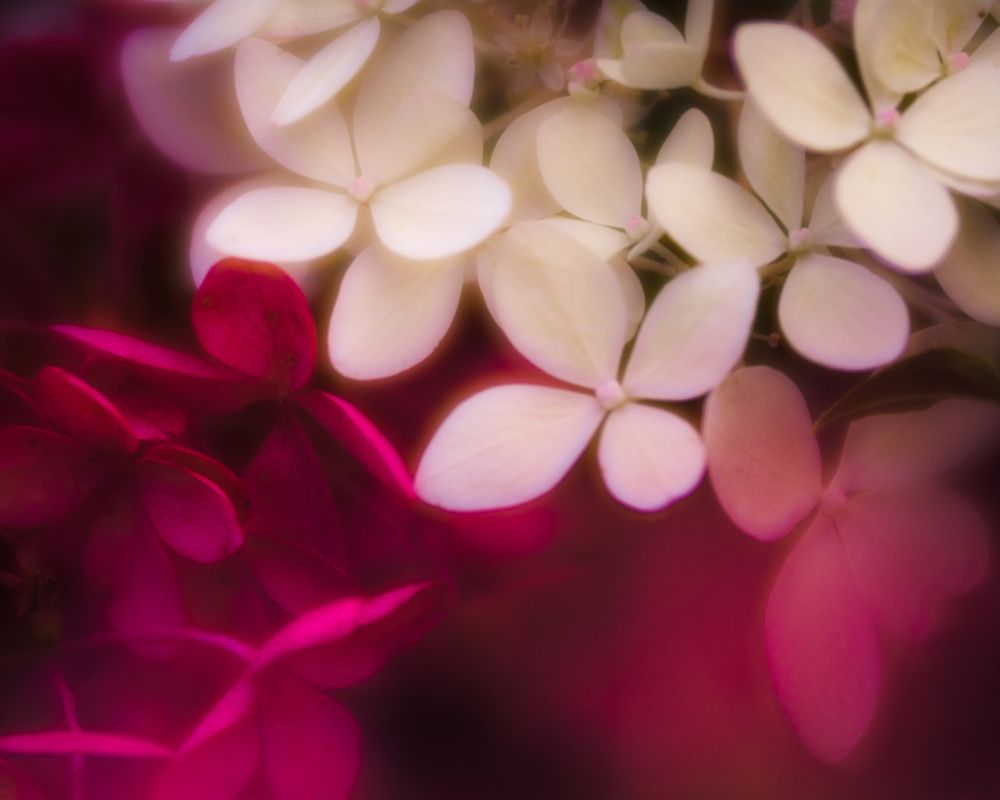 Photograph by Dmitry Ishniyazov