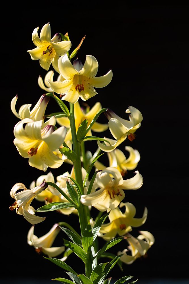 Photograph by Дмитрий Ткаченко