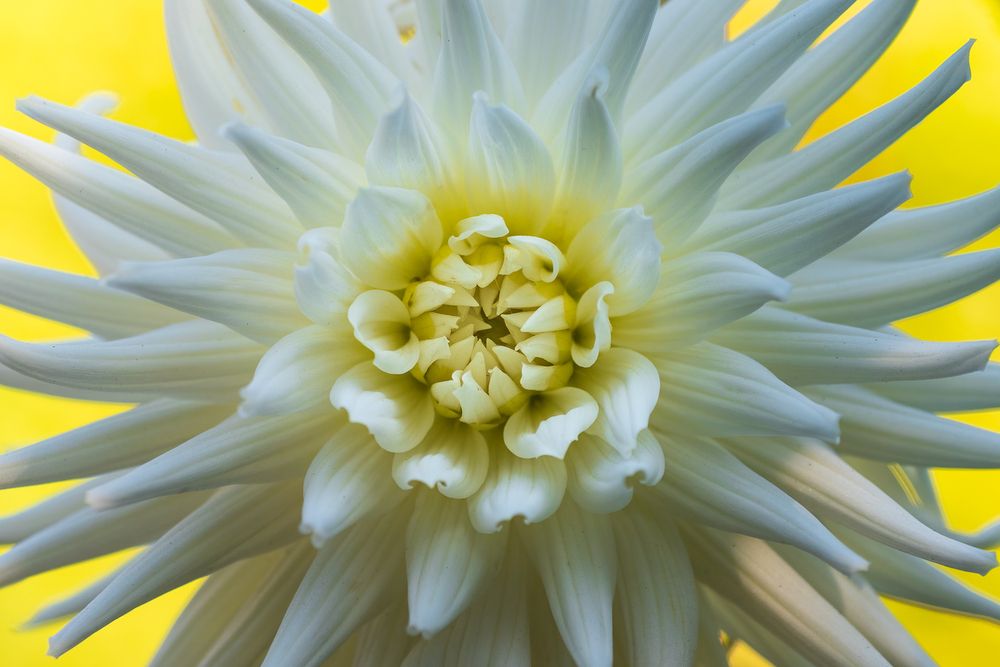 Photograph by Bruno Ribeiro