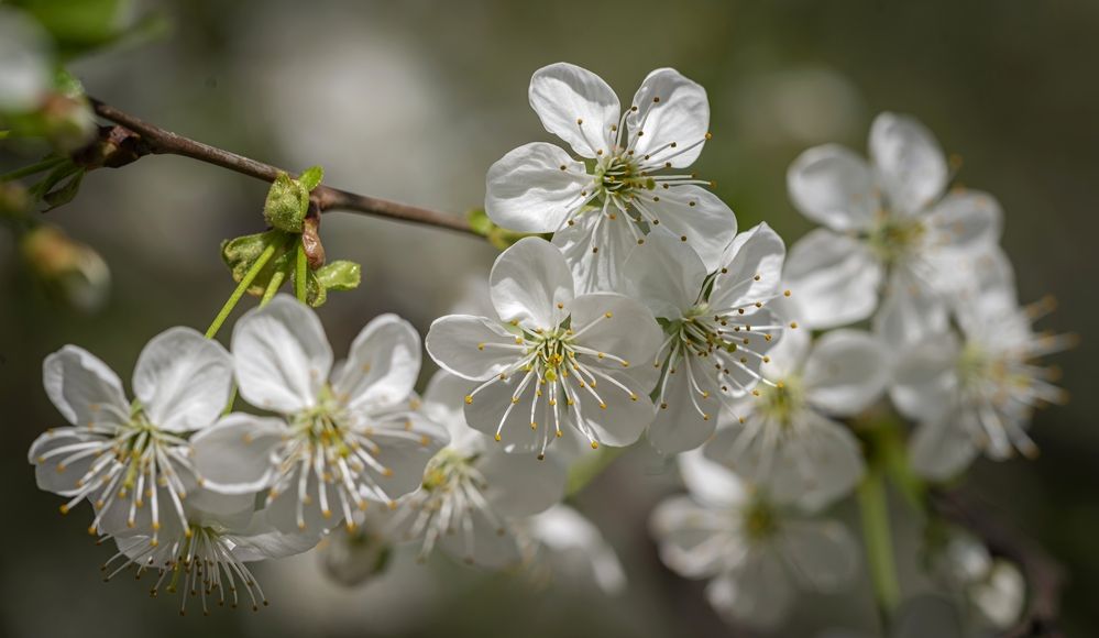 Photograph by Сергей Басов