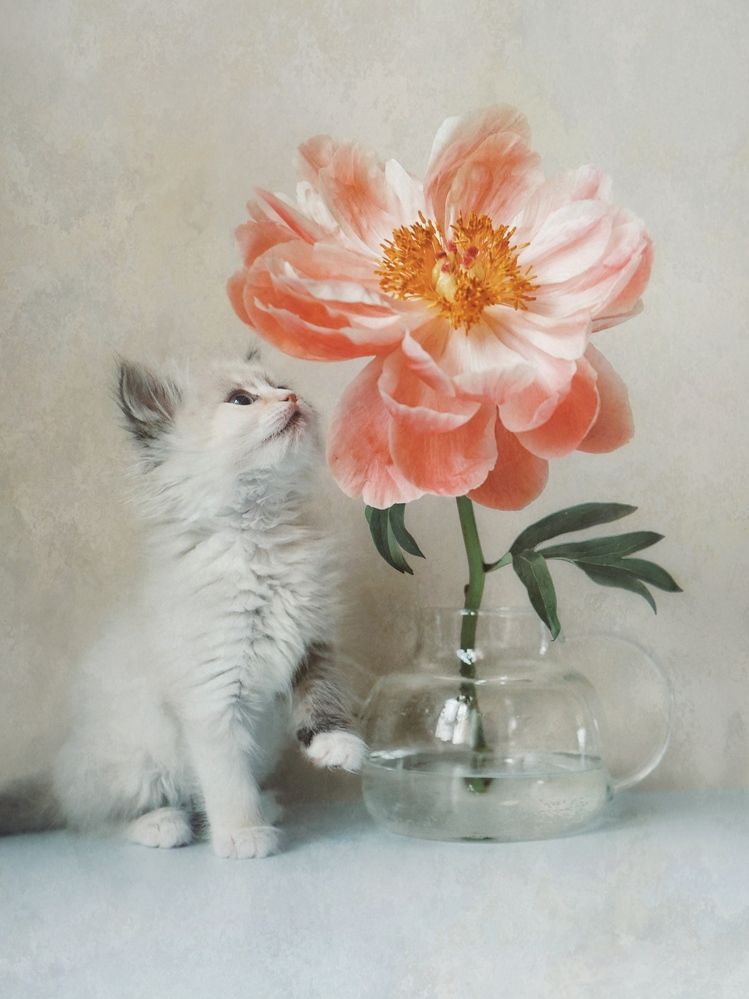 Фотография автора Евгения Никишина