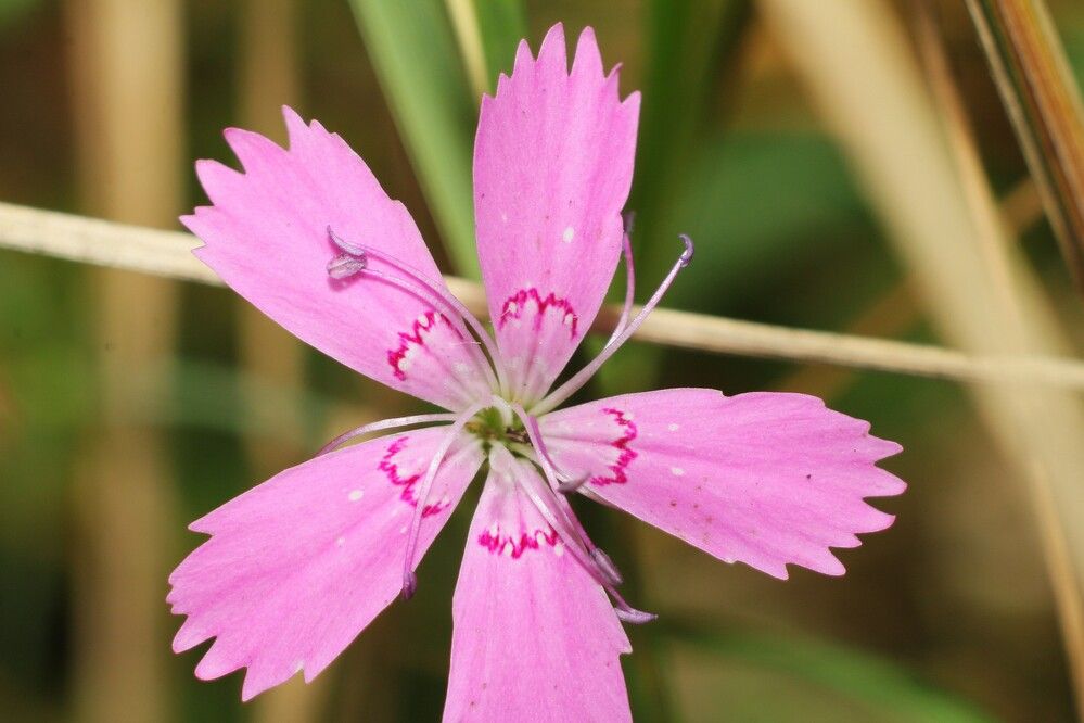 Фотография автора Геннадий Титов