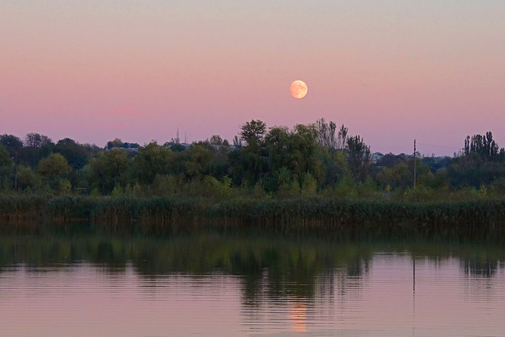 Photograph by Олег Радионов