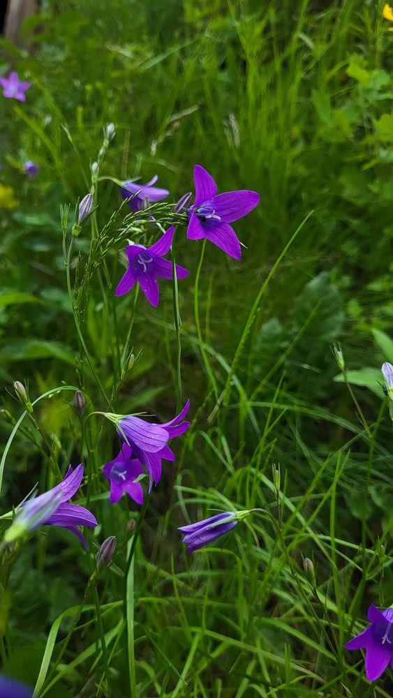 Фотография автора Татьяна Прашкевич