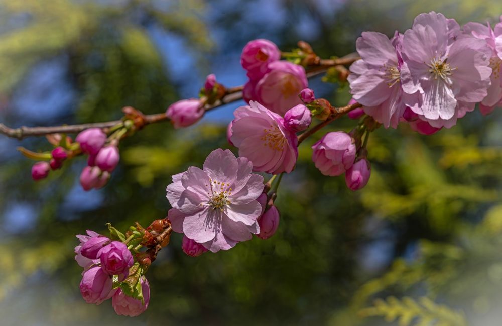Photograph by Сергей Басов