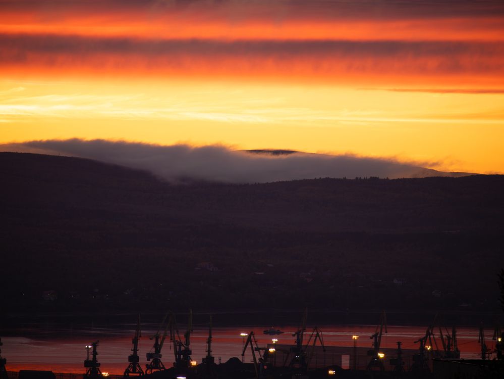 cranes silhouetted against the sunset