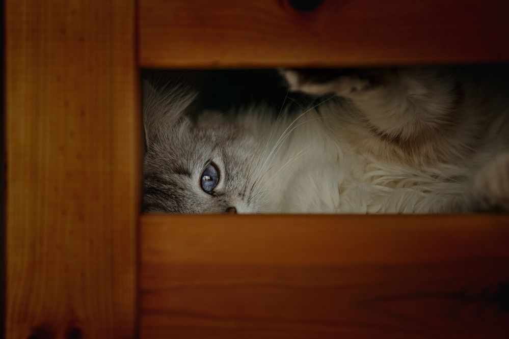 Photograph by Ольга Рябчикова