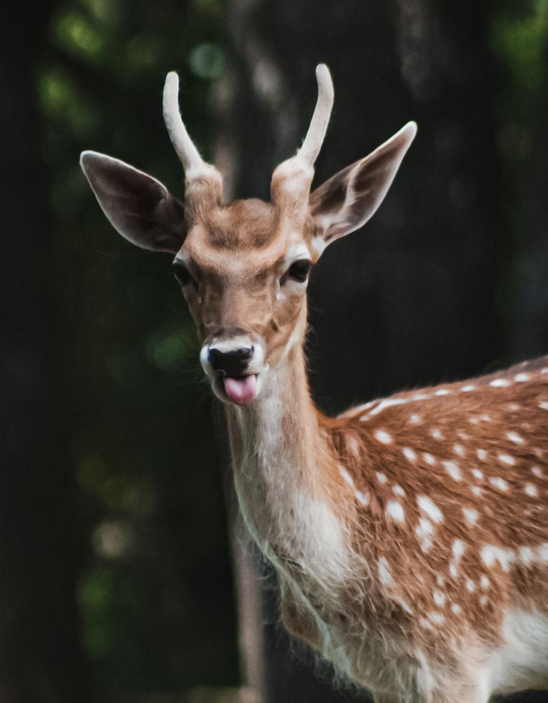 Photograph by Ioannis Graidis
