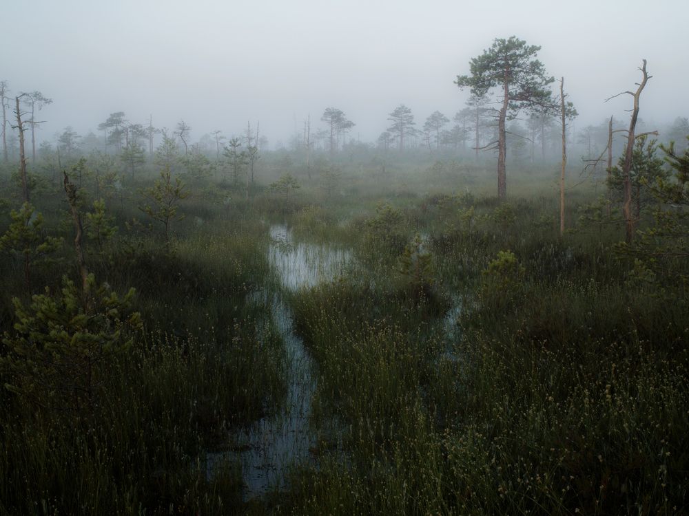 Photograph by Врубель Андрей