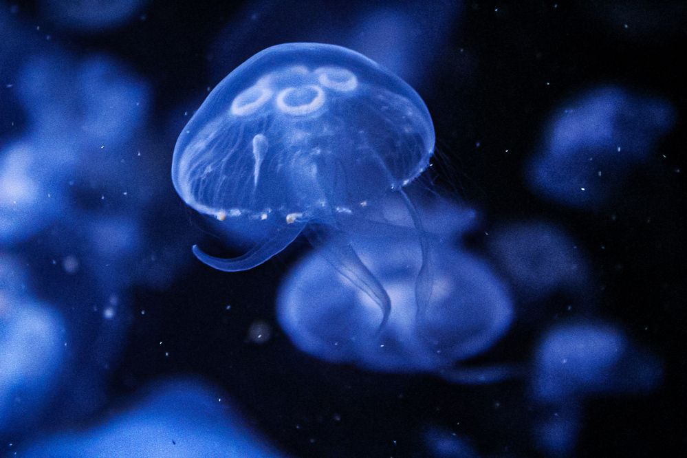 Photograph by Ioannis Graidis