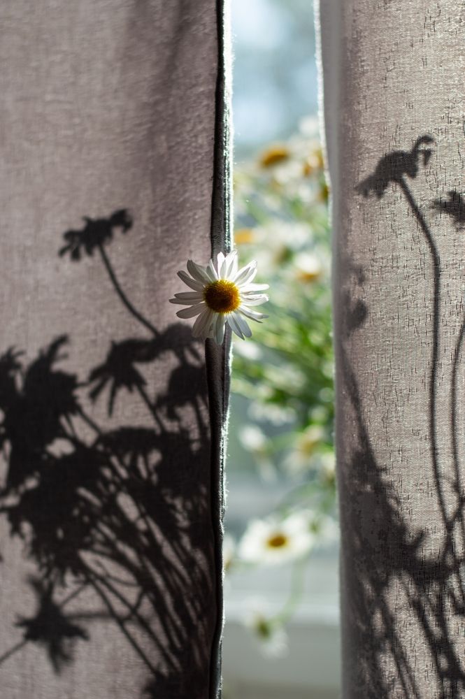 Photograph by Светлана Гок