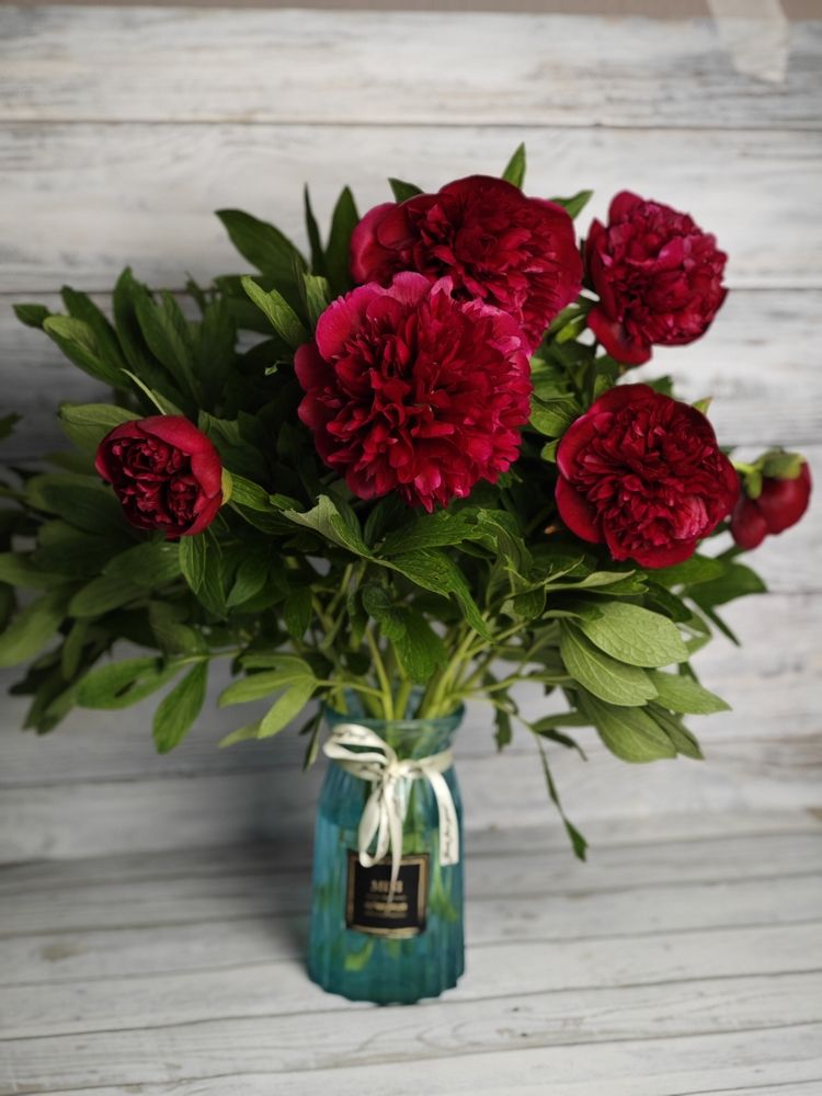 Фотография автора Тамара Нижельская