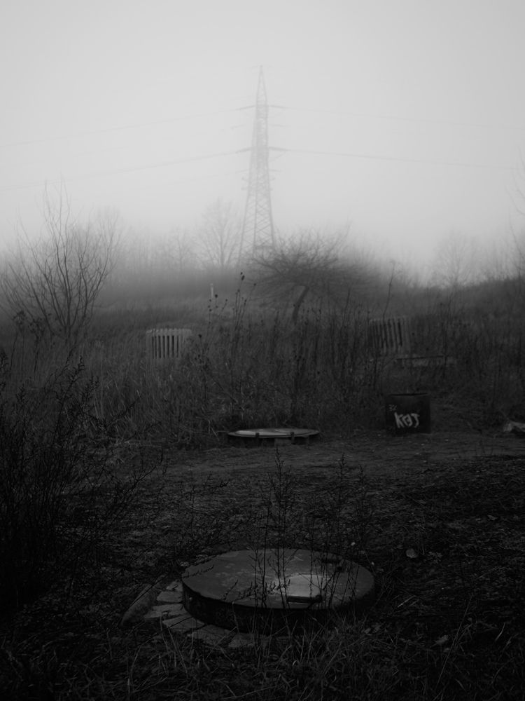 Фотография автора Врубель Андрей