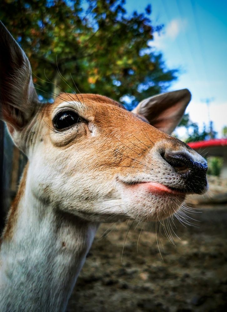 Photograph by Мария Цепилова