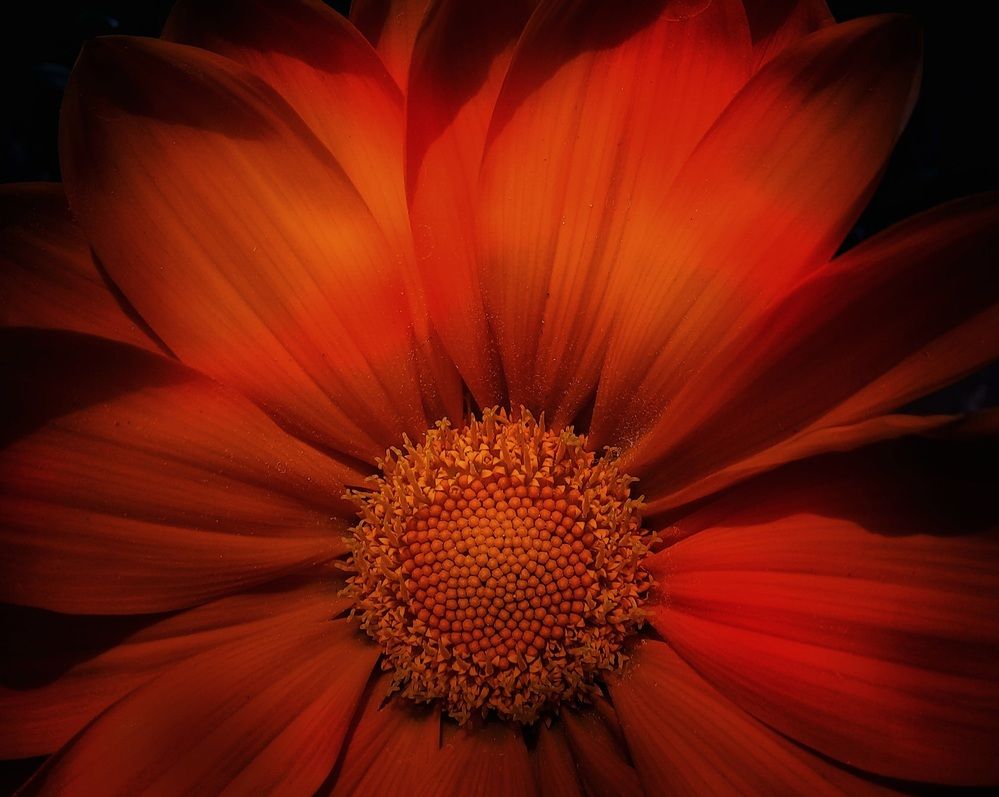 Photograph by Roberto Hagemann