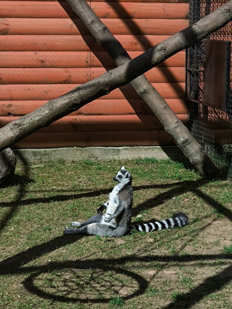 Photograph by Людмила Емельянчикова