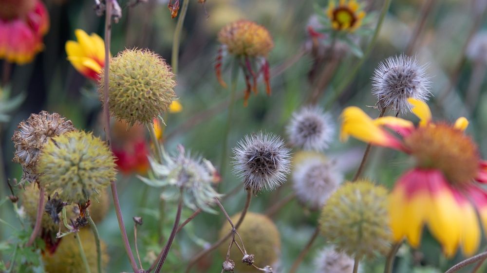 Фотография автора Алексей Клоков