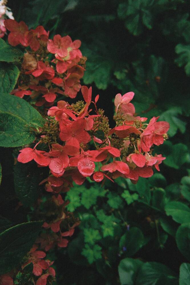 Photograph by Юлия Порфирьева