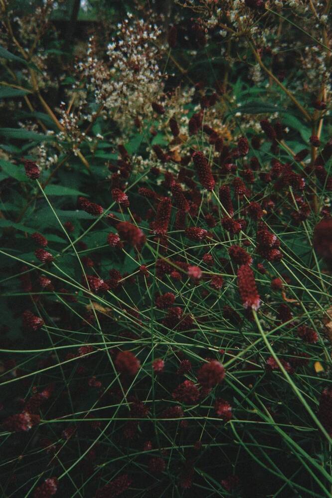 Photograph by Юлия Порфирьева