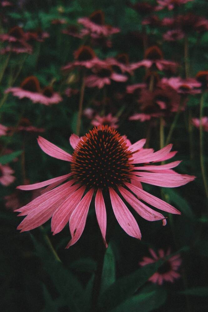 Photograph by Юлия Порфирьева