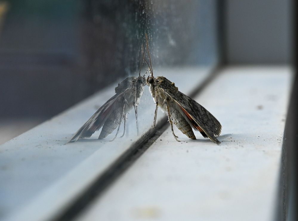 Photograph by Ольга Пумочка-13