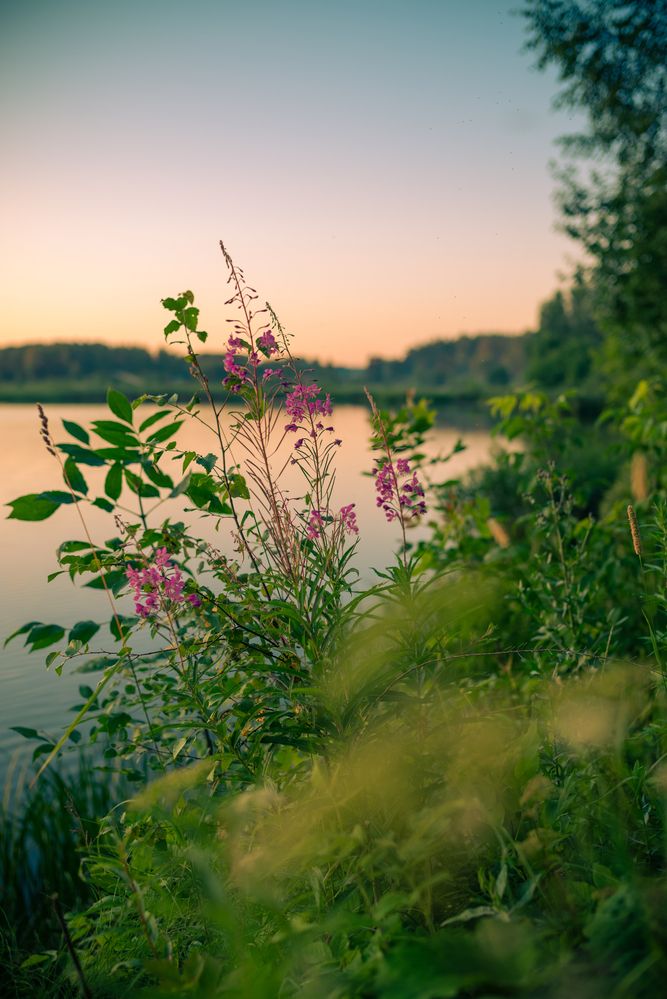 Photograph by Валентина Ивашова