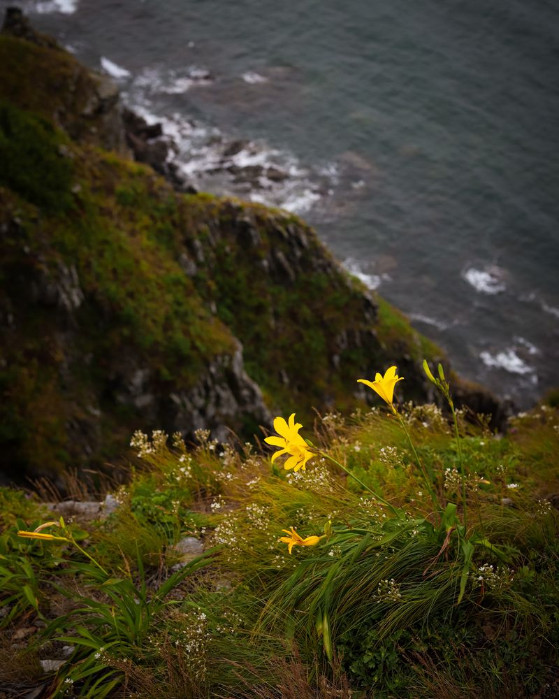 Photograph by MobigrafVDK