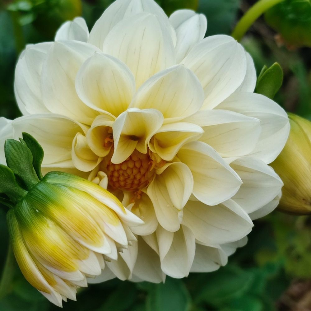 Photograph by Евгения