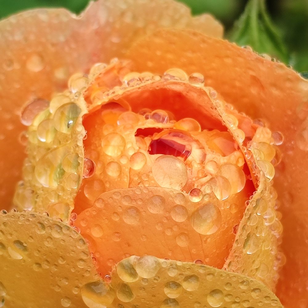 Photograph by Евгения