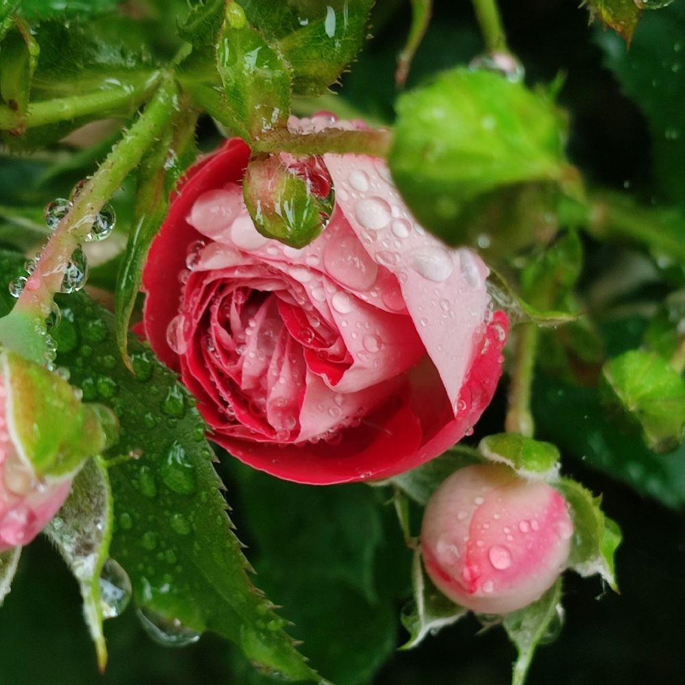 Photograph by Евгения