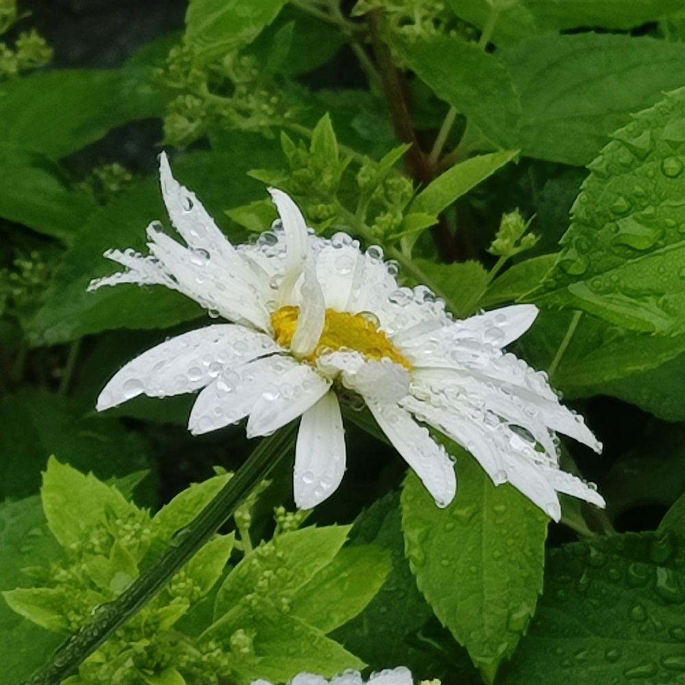 Photograph by Евгения