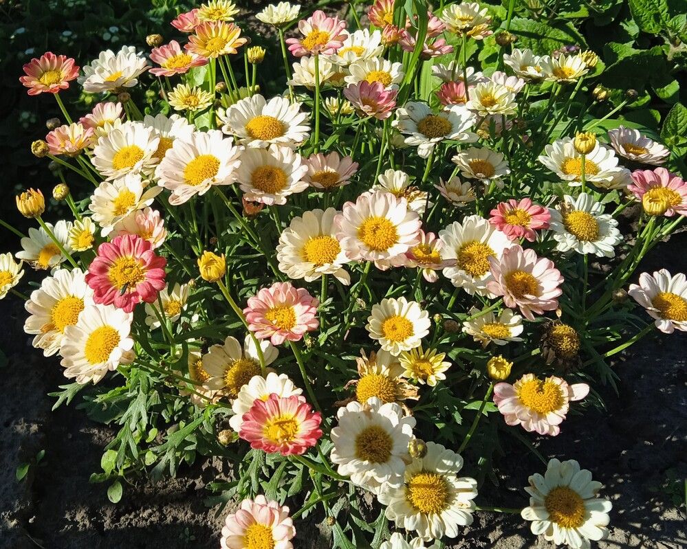 Photograph by Удовченко Елена