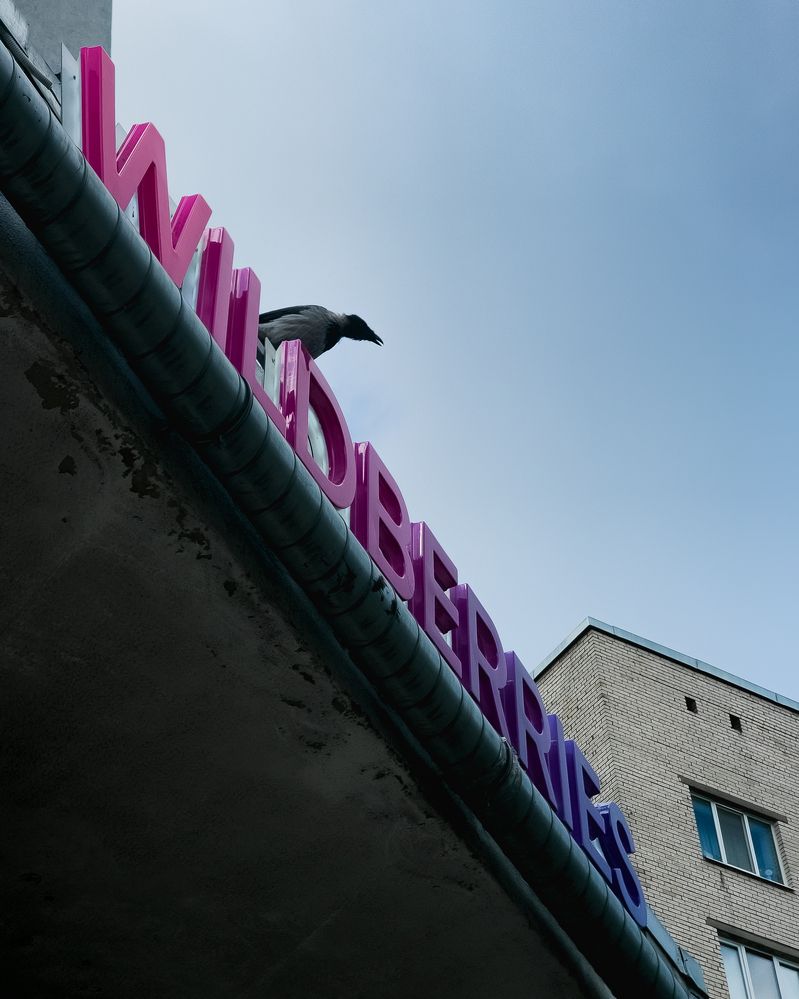 Photograph by шитиков никита