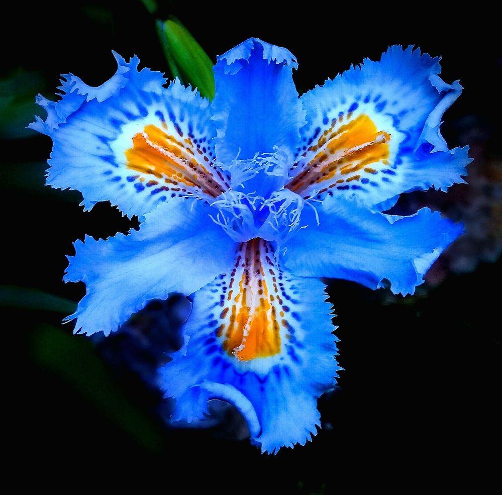 Photograph by Roberto Hagemann