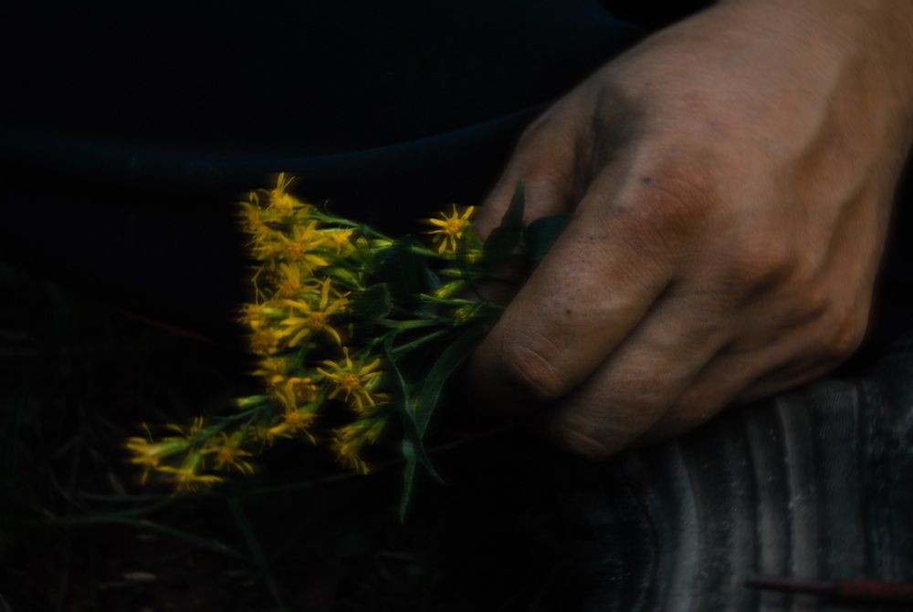 Photograph by Алла Кочергина