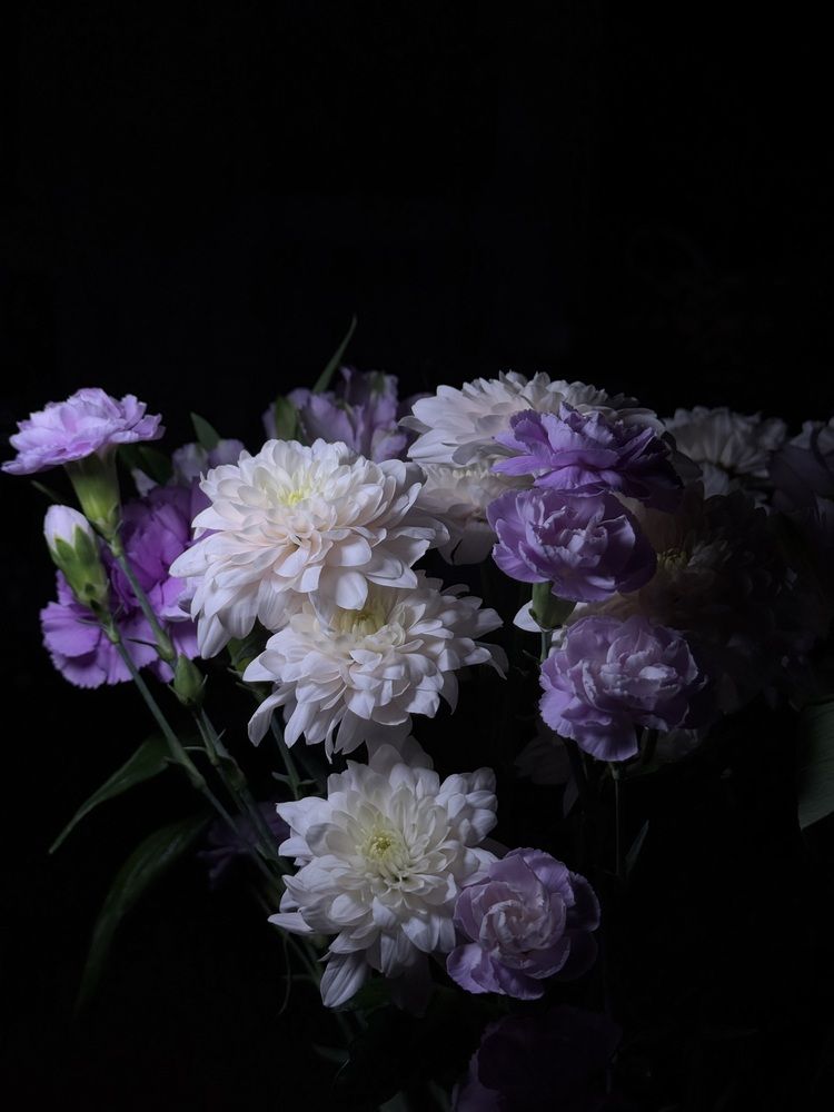 Photograph by Elvira