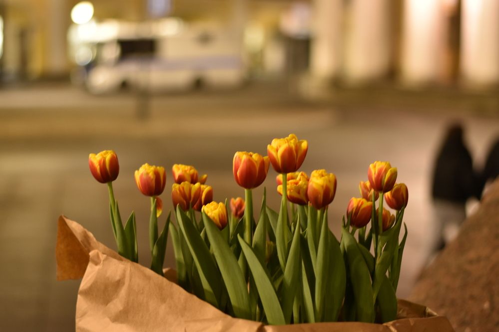 Photograph by Elvira