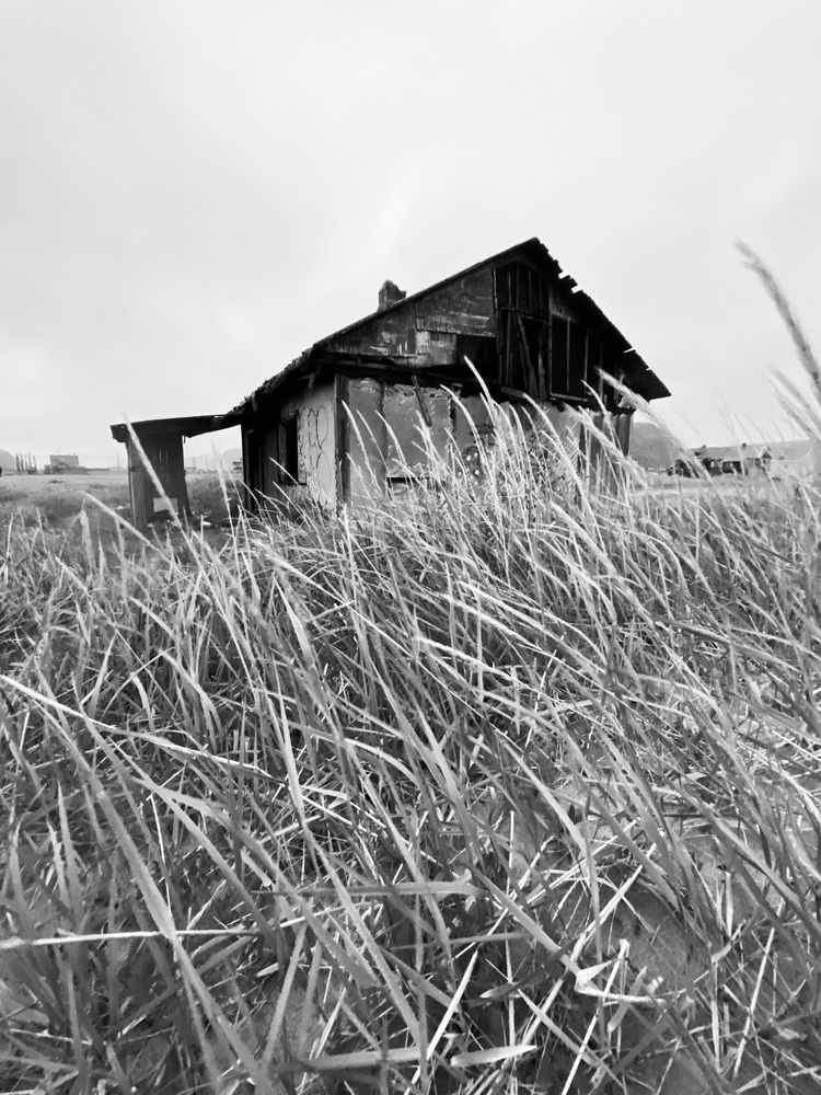 Фотография автора Елена